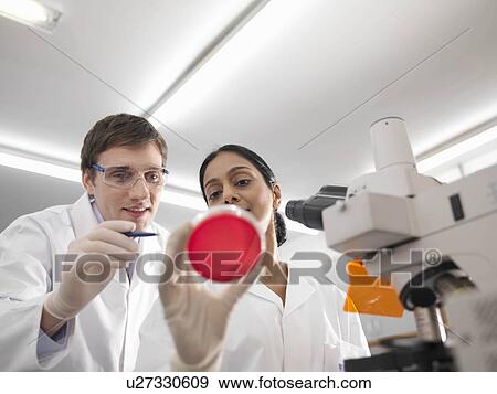 Stock Photo - Laboratory technicians and petri dish. Fotosearch