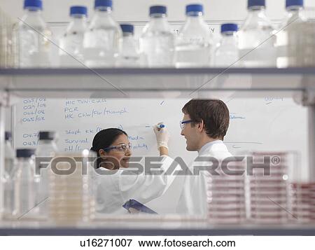 Laboratory technicians and whiteboard View Large Photo Image Stock Photo - Laboratory technicians and whiteboard. Fotosearch