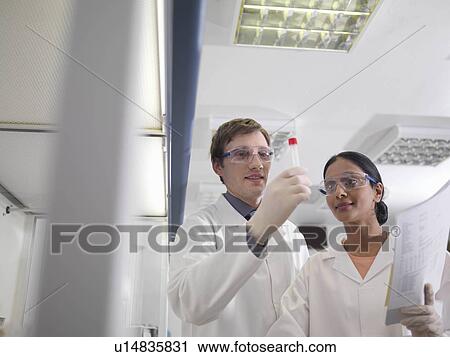 Laboratory technicians at work View Large Photo Image Stock Image - Laboratory technicians at work. Fotosearch