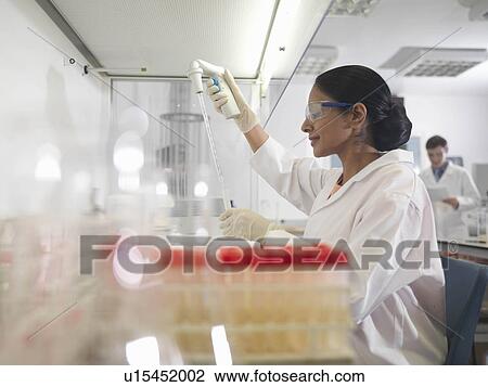 Laboratory technicians at work View Large Photo Image Stock Image - Laboratory technicians at work. Fotosearch