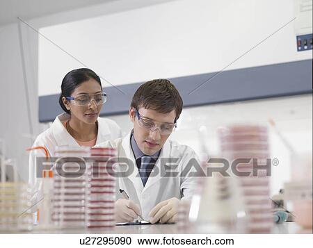 Stock Image - Laboratory technicians at work. Fotosearch