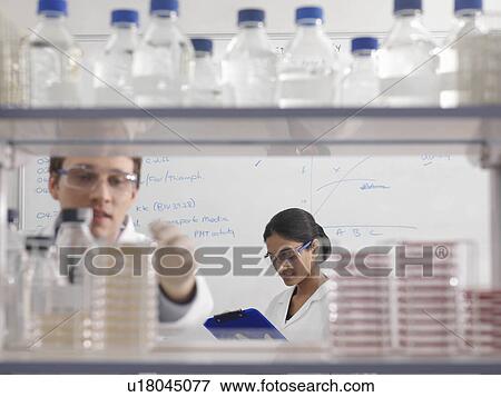 Laboratory technicians in laboratory View Large Photo Image Stock Photo - Laboratory technicians in laboratory. Fotosearch