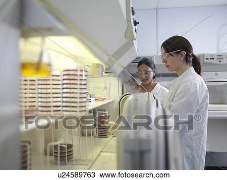 Stock Image - Laboratory technicians working together. Fotosearch