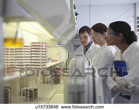 Laboratory technicians working together View Large Photo Image Stock Photograph - Laboratory technicians working together. Fotosearch