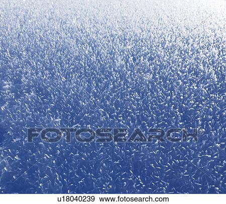 Layer of snow covered in ice crystals View Large Photo Image Stock Photo - Layer of snow covered in ice crystals. Fotosearch