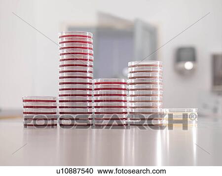 Petri dishes in laboratory View Large Photo Image Stock Image - Petri dishes in laboratory. Fotosearch