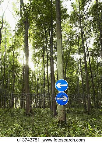 Signs pointing in opposite directions View Large Photo Image Stock Image - Signs pointing in opposite directions. Fotosearch