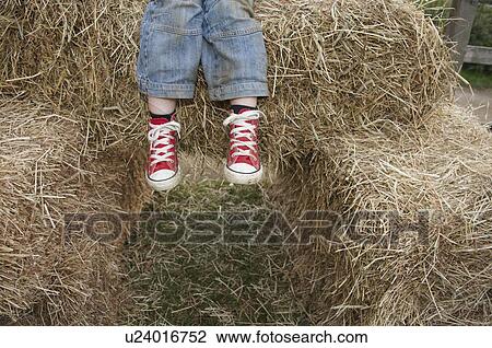 Sitting on a Hay Bale View Large Photo Image Stock Image - Sitting on a Hay Bale. Fotosearch