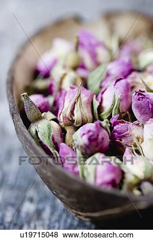 Stock Photo - Still-life dry roses. Fotosearch