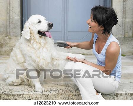 Stock Image - Woman brushing her dog. Fotosearch