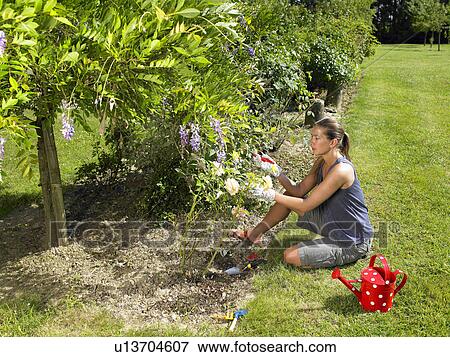 Woman gardening View Large Photo Image Stock Photo - Woman gardening. Fotosearch