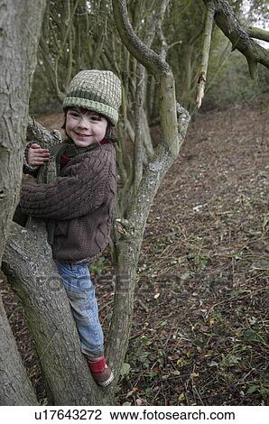 Young boy climbing on tree branches View Large Photo Image Stock Image - Young boy climbing on tree branches. Fotosearch