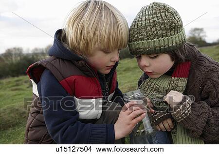 Young boys inspecting jar of insects View Large Photo Image Picture - Young boys inspecting jar of insects. Fotosearch