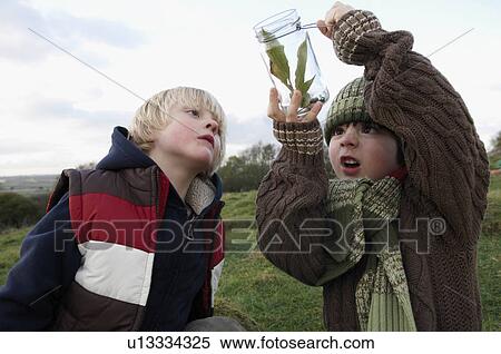 Young boys inspecting jar of insects View Large Photo Image Stock Photography - Young boys inspecting jar of insects. Fotosearch