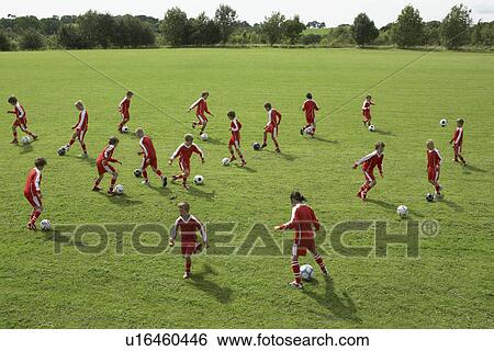 Young footballers training View Large Photo Image Stock Photograph - Young footballers training. Fotosearch