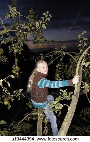 Picture - Young girl in tree. Fotosearch