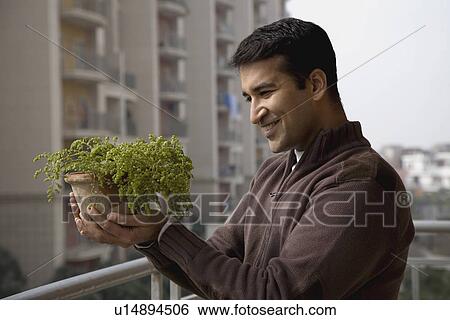 A man admiring his plants View Large Photo Image Stock Photograph - A man admiring his plants. Fotosearch