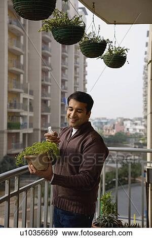 Stock Photo - A man spraying a potted plant. Fotosearch