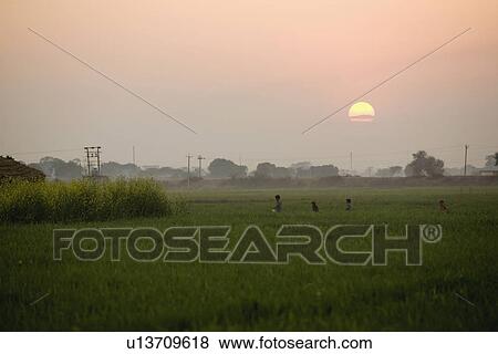 Stock Photo - A village scene at sunset. Fotosearch