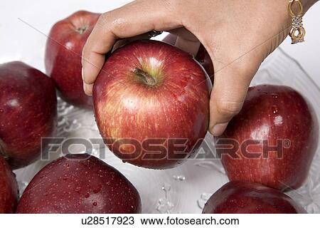 Stock Image - A woman picking an apple. Fotosearch