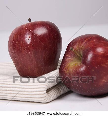 Apples View Large Photo Image Stock Photo - Apples. Fotosearch