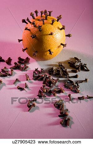 Stock Image - Cloves pinned on orange. Fotosearch