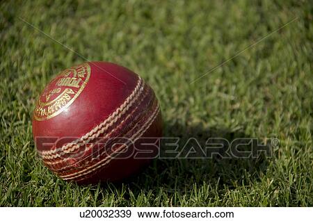 Stock Photo - Cricket ball on grass. Fotosearch