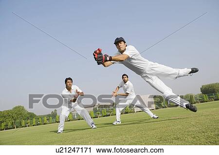 Stock Image - Cricketers fielding. Fotosearch