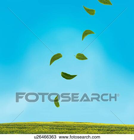 Falling leaves View Large Photo Image Stock Image - Falling leaves. Fotosearch