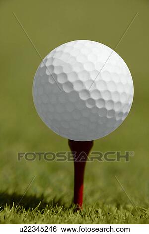 Golf ball on tee View Large Photo Image Stock Photograph - Golf ball on tee. Fotosearch