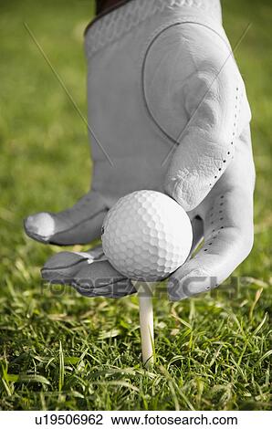 Positioning golf ball on tee View Large Photo Image Stock Image - Positioning golf ball on tee. Fotosearch