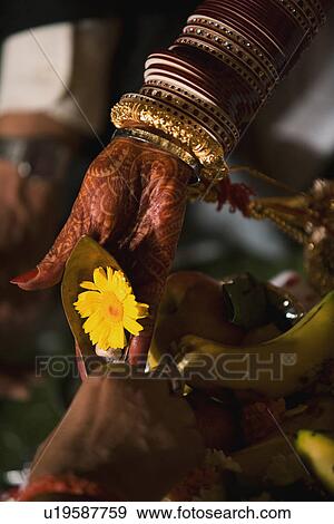 Wedding pooja View Large Photo Image Stock Photo - Wedding pooja. Fotosearch