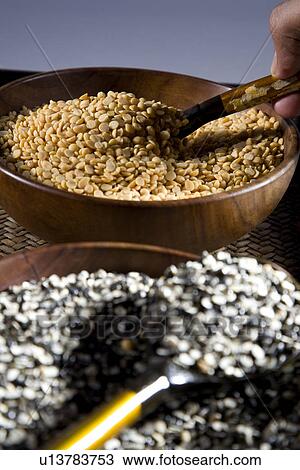 Yellow and brown pulses View Large Photo Image Stock Image - Yellow and brown pulses. Fotosearch
