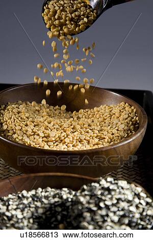 Stock Image - Yellow and brown pulses. Fotosearch