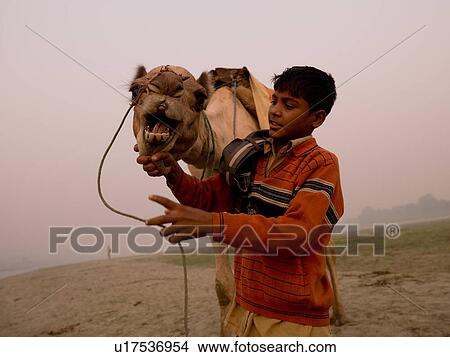 Picture - Boy standing with a camel in India. Fotosearch