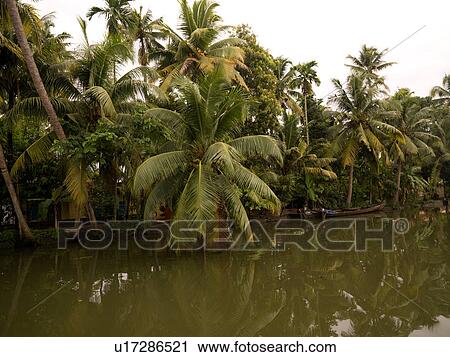 "Canoe on backwater, Kerala, South India" View Large Photo Image Stock Image - "Canoe on backwater, Kerala, South India". Fotosearch