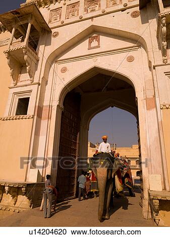"Elephant going through entrance of Amber Fort, Jaipur, India" View Large Photo Image Stock Image - "Elephant going through entrance of Amber Fort, Jaipur, India". Fotosearch
