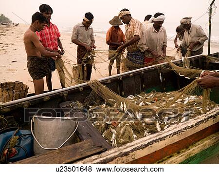 Fishermen emptying fish nets beside boat View Large Photo Image Stock Photo - Fishermen emptying fish nets beside boat. Fotosearch