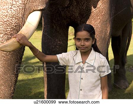 Girl in India holding on to an elephant's tusk View Large Photo Image Stock Photo - Girl in India holding on to an elephant's tusk. Fotosearch