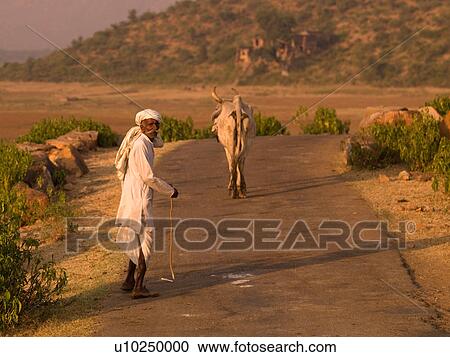 Indian man walking holding a stick View Large Photo Image Stock Image - Indian man walking holding a stick. Fotosearch