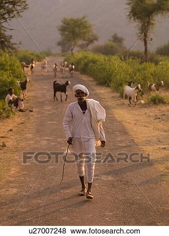 Indian man walking holding a stick View Large Photo Image Stock Photo - Indian man walking holding a stick. Fotosearch