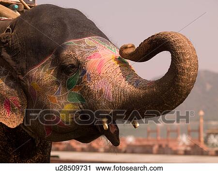 Stock Image - "Jaipur, India - painted elephant". Fotosearch