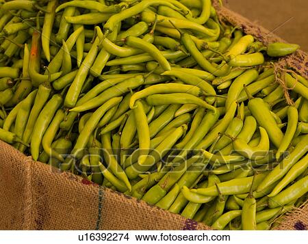Picture - "Jaipur, India - pile of green beans". Fotosearch