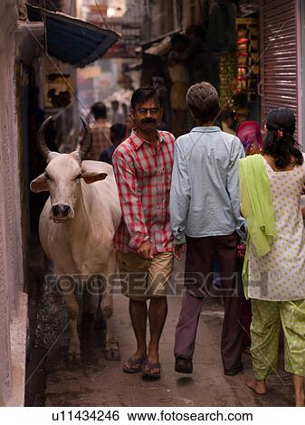Man and cow walking through alley in India View Large Photo Image Stock Photograph - Man and cow walking through alley in India. Fotosearch