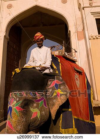Man riding an elephant in India View Large Photo Image Stock Photo - Man riding an elephant in India. Fotosearch