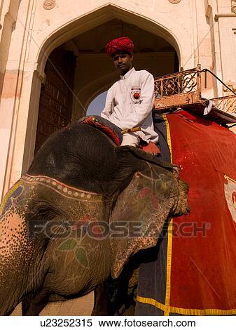 Stock Photography - Man riding an elephant in India. Fotosearch