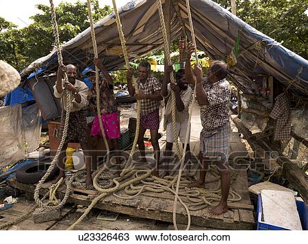 Men in India pulling ropes under tent View Large Photo Image Stock Image - Men in India pulling ropes under tent. Fotosearch
