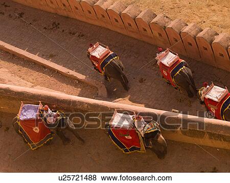 Stock Photo - "People riding elephants in Amber Fort, Jaipur, India". Fotosearch