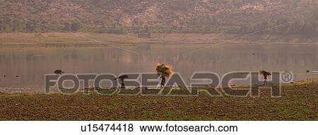 "Rajasthan, India - rural landscape" View Large Photo Image Stock Photo - "Rajasthan, India - rural landscape". Fotosearch