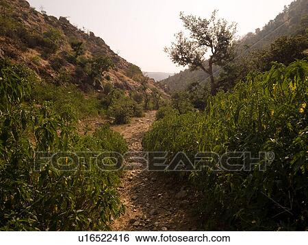 Stock Photograph - "Rajasthan, India - rural landscape". Fotosearch